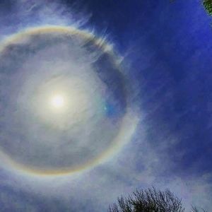 Meet your Posher, Vickie